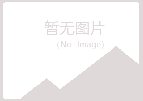 阳明区女孩邮政有限公司